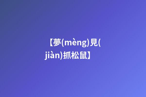 【夢(mèng)見(jiàn)抓松鼠】