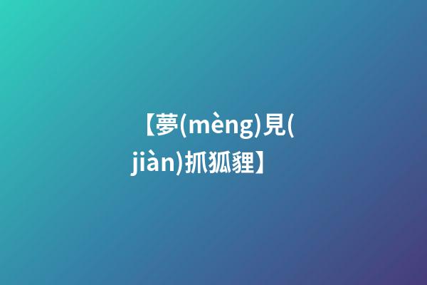 【夢(mèng)見(jiàn)抓狐貍】