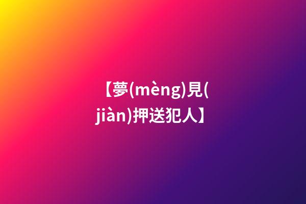 【夢(mèng)見(jiàn)押送犯人】