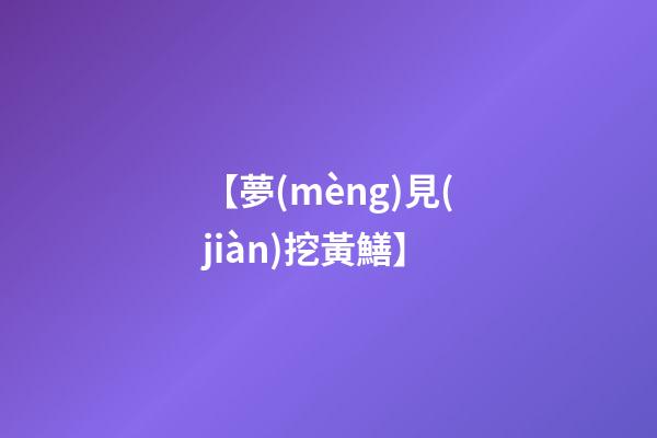 【夢(mèng)見(jiàn)挖黃鱔】