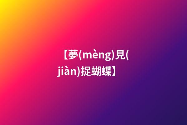 【夢(mèng)見(jiàn)捉蝴蝶】