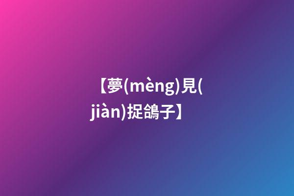【夢(mèng)見(jiàn)捉鴿子】