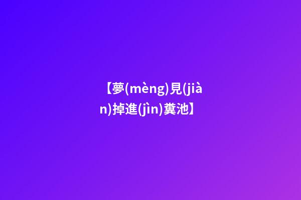 【夢(mèng)見(jiàn)掉進(jìn)糞池】