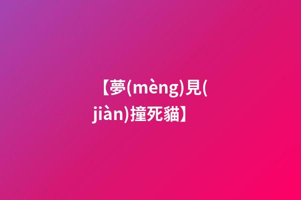 【夢(mèng)見(jiàn)撞死貓】