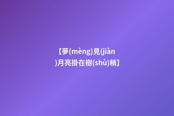 【夢(mèng)見(jiàn)月亮掛在樹(shù)梢】