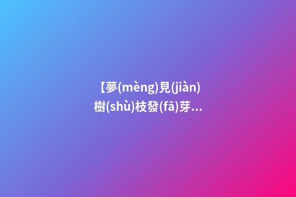 【夢(mèng)見(jiàn)樹(shù)枝發(fā)芽】