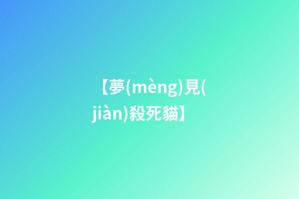 【夢(mèng)見(jiàn)殺死貓】