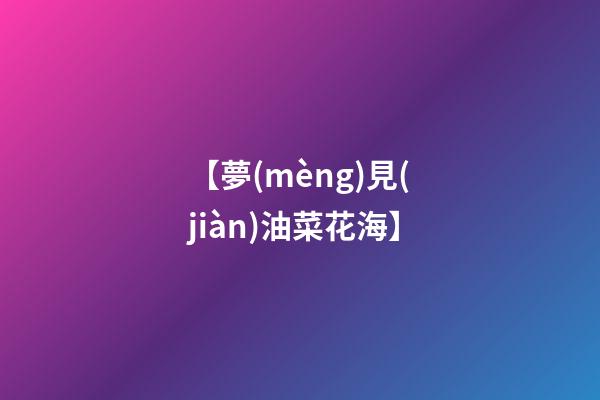 【夢(mèng)見(jiàn)油菜花海】