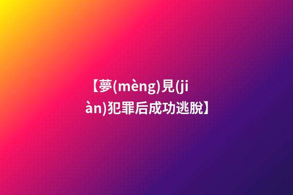【夢(mèng)見(jiàn)犯罪后成功逃脫】