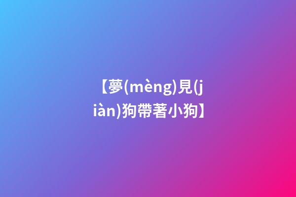 【夢(mèng)見(jiàn)狗帶著小狗】