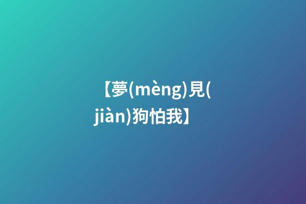 【夢(mèng)見(jiàn)狗怕我】