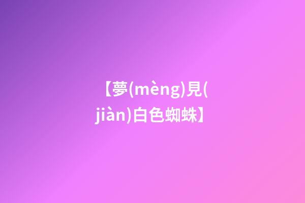 【夢(mèng)見(jiàn)白色蜘蛛】