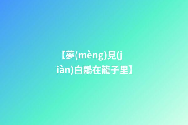 【夢(mèng)見(jiàn)白鷴在籠子里】