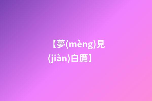 【夢(mèng)見(jiàn)白鷹】
