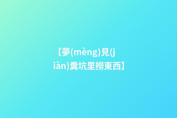 【夢(mèng)見(jiàn)糞坑里撈東西】