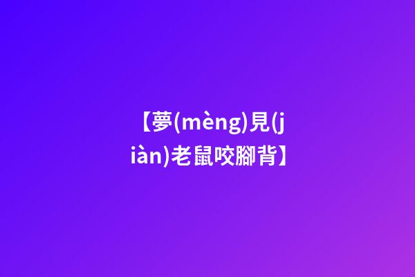 【夢(mèng)見(jiàn)老鼠咬腳背】