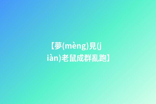 【夢(mèng)見(jiàn)老鼠成群亂跑】