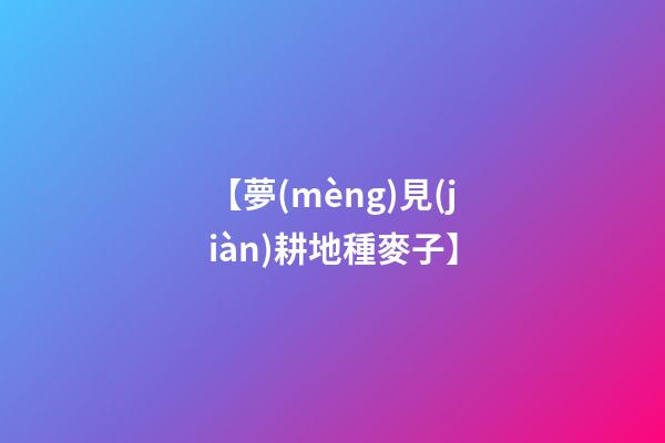 【夢(mèng)見(jiàn)耕地種麥子】
