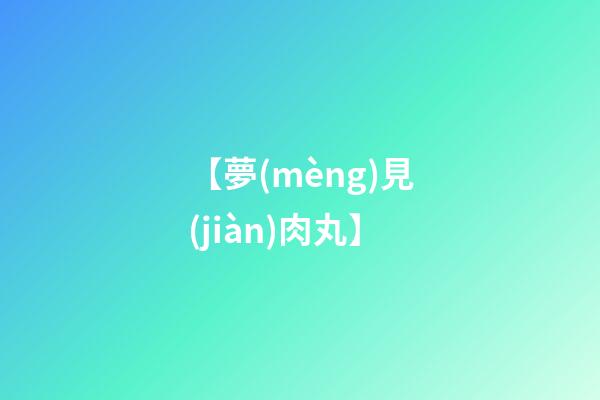 【夢(mèng)見(jiàn)肉丸】
