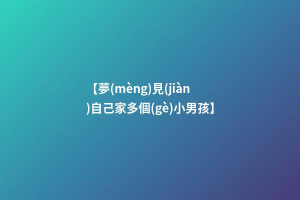 【夢(mèng)見(jiàn)自己家多個(gè)小男孩】