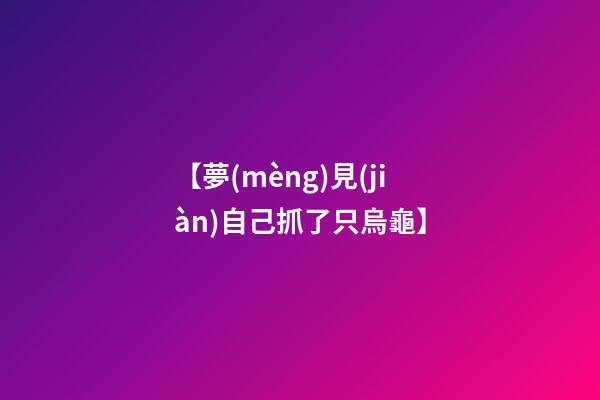 【夢(mèng)見(jiàn)自己抓了只烏龜】