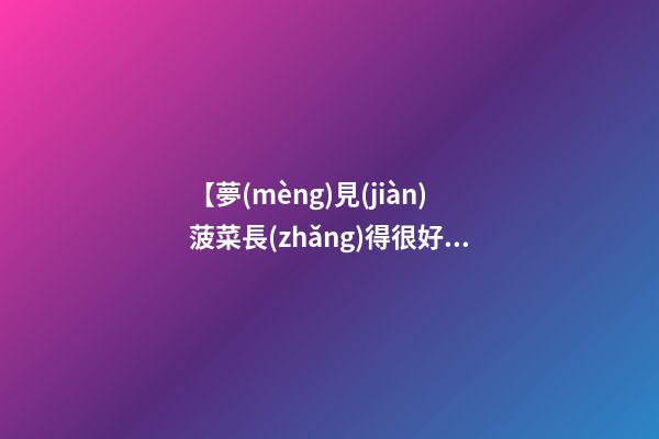 【夢(mèng)見(jiàn)菠菜長(zhǎng)得很好】