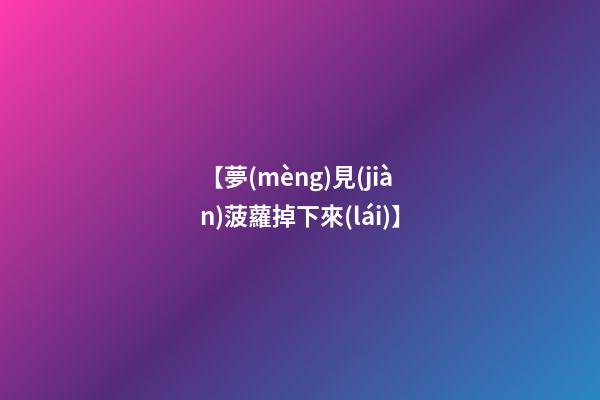 【夢(mèng)見(jiàn)菠蘿掉下來(lái)】