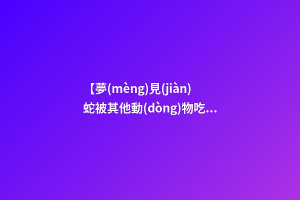 【夢(mèng)見(jiàn)蛇被其他動(dòng)物吃了】