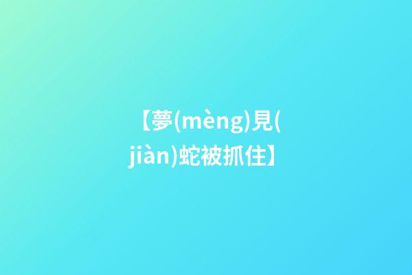 【夢(mèng)見(jiàn)蛇被抓住】
