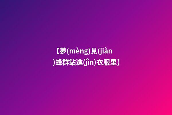 【夢(mèng)見(jiàn)蜂群鉆進(jìn)衣服里】