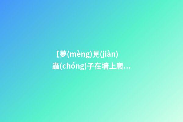 【夢(mèng)見(jiàn)蟲(chóng)子在墻上爬】