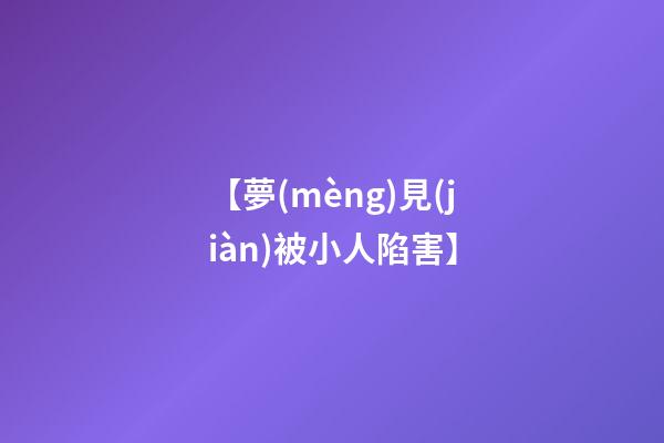 【夢(mèng)見(jiàn)被小人陷害】