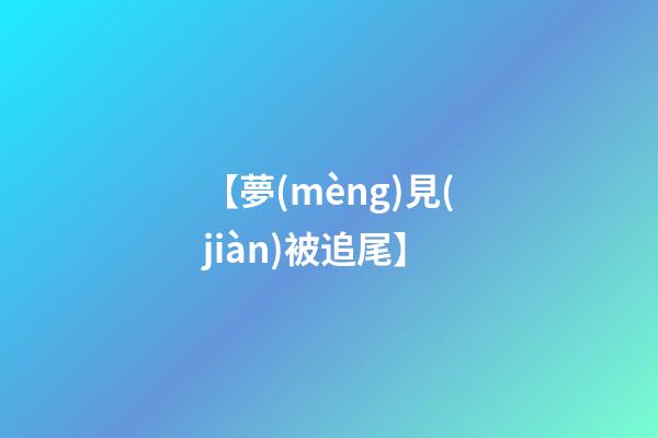 【夢(mèng)見(jiàn)被追尾】