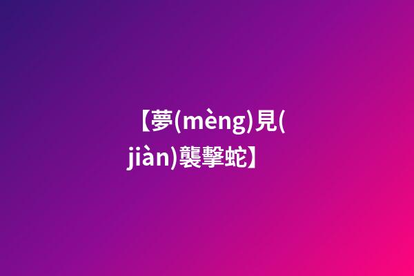【夢(mèng)見(jiàn)襲擊蛇】