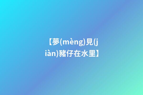 【夢(mèng)見(jiàn)豬仔在水里】