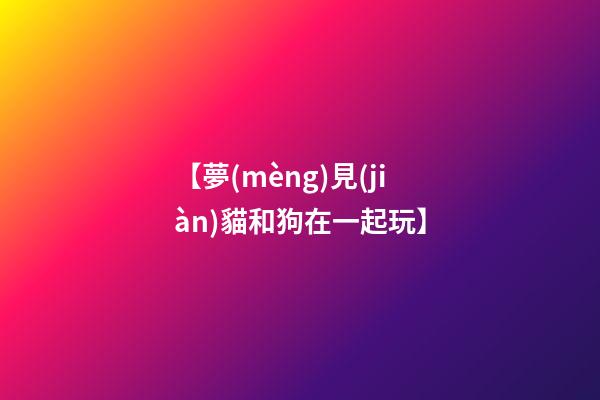 【夢(mèng)見(jiàn)貓和狗在一起玩】