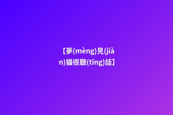 【夢(mèng)見(jiàn)貓很聽(tīng)話】