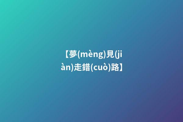 【夢(mèng)見(jiàn)走錯(cuò)路】