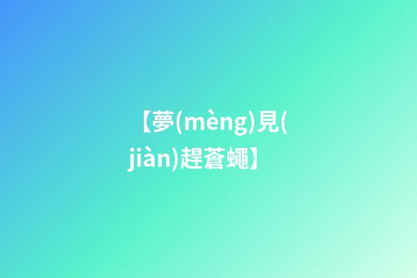 【夢(mèng)見(jiàn)趕蒼蠅】