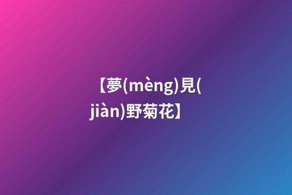 【夢(mèng)見(jiàn)野菊花】