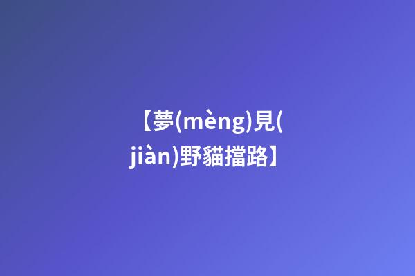 【夢(mèng)見(jiàn)野貓擋路】