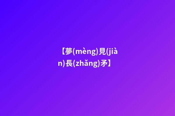 【夢(mèng)見(jiàn)長(zhǎng)矛】
