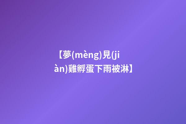 【夢(mèng)見(jiàn)雞孵蛋下雨被淋】