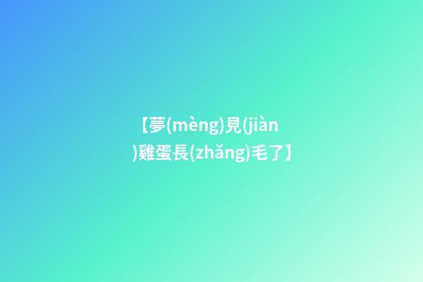 【夢(mèng)見(jiàn)雞蛋長(zhǎng)毛了】