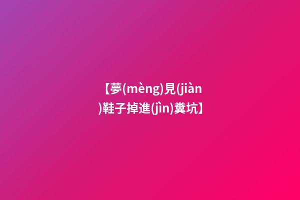 【夢(mèng)見(jiàn)鞋子掉進(jìn)糞坑】