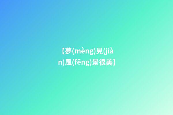 【夢(mèng)見(jiàn)風(fēng)景很美】