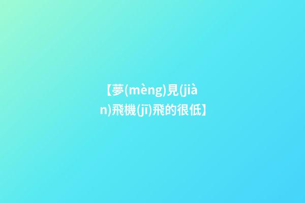 【夢(mèng)見(jiàn)飛機(jī)飛的很低】