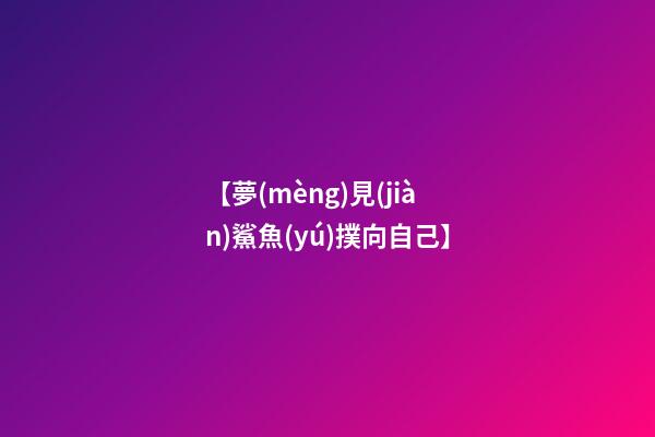 【夢(mèng)見(jiàn)鯊魚(yú)撲向自己】