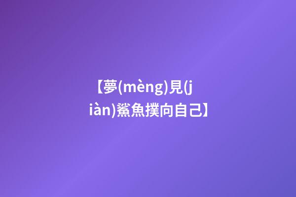 【夢(mèng)見(jiàn)鯊魚撲向自己】