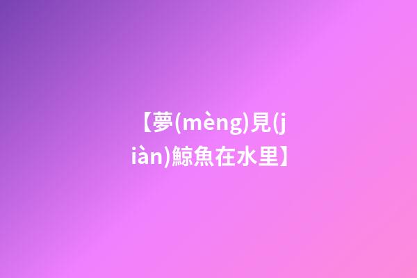【夢(mèng)見(jiàn)鯨魚在水里】